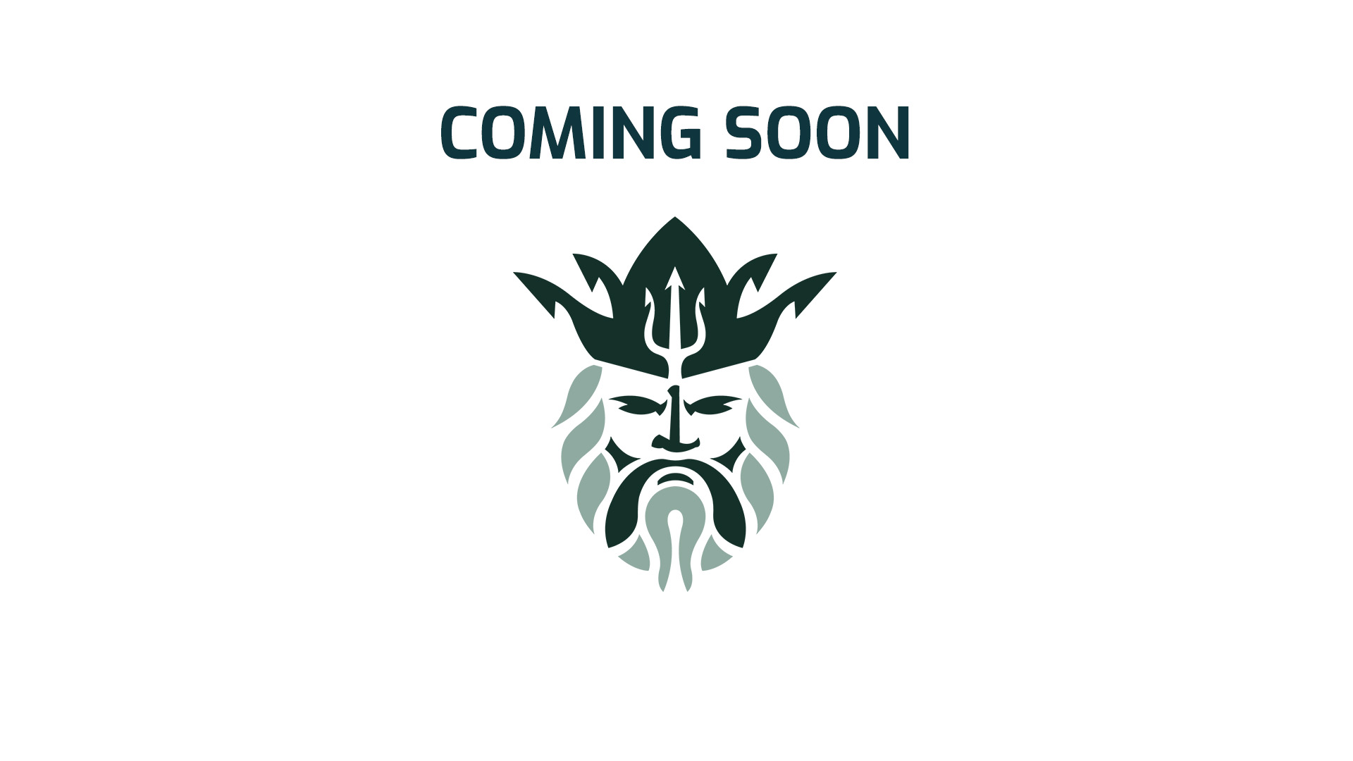 ams barging, fleet, barges, tankervessel